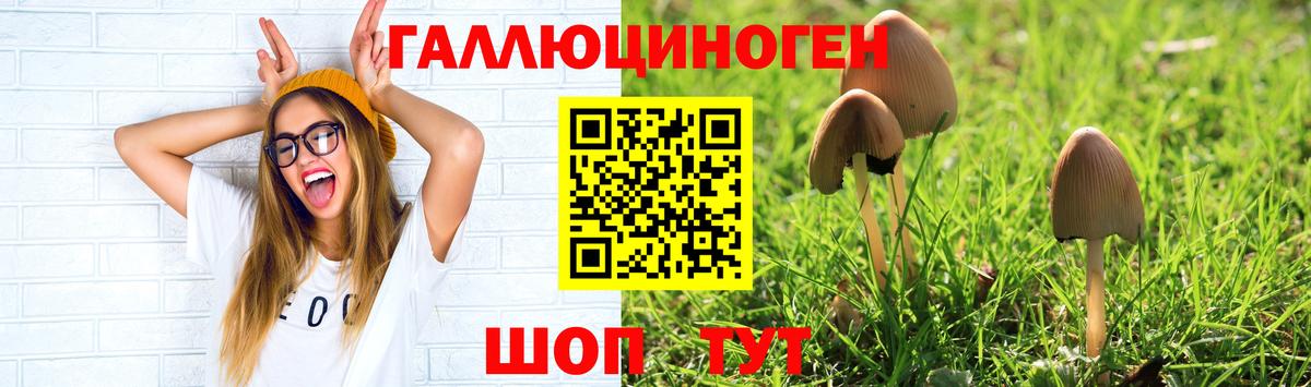 Димитровград  Галлюциногенные грибы Cubensis  закладка  Вход с VPN 